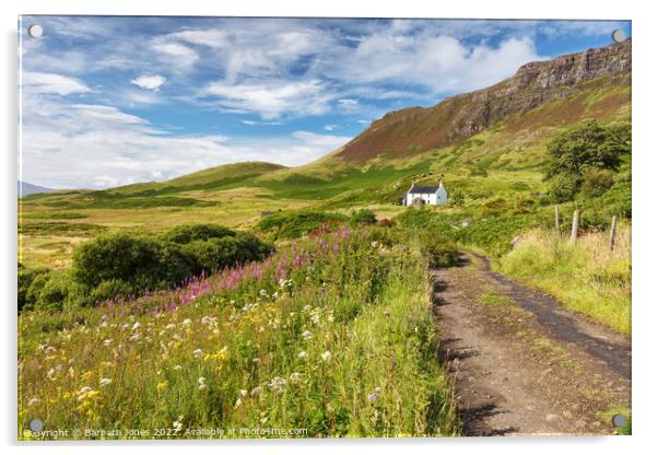 Howlin House A Summer Meadow on the Isle of Eigg Acrylic by Barbara Jones