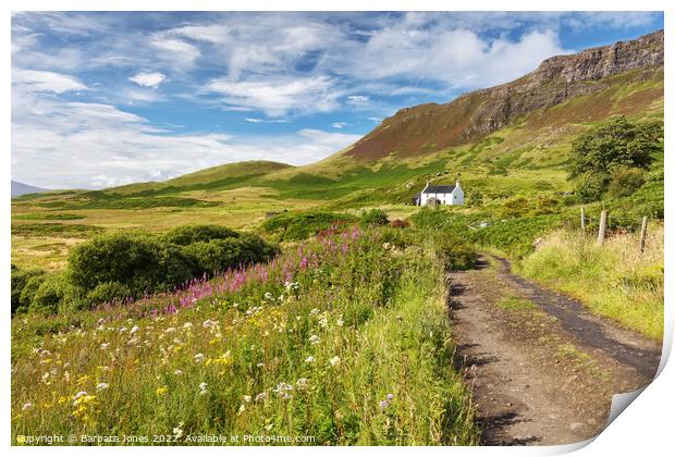 Howlin House A Summer Meadow on the Isle of Eigg Print by Barbara Jones