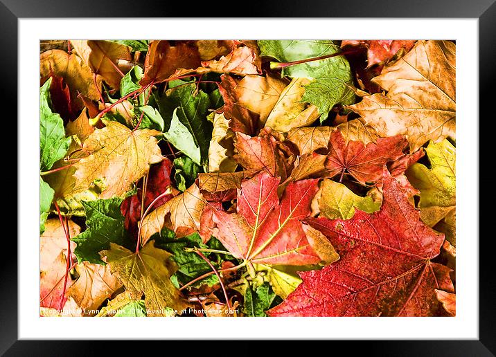Turning Leaves Framed Mounted Print by Lynne Morris (Lswpp)