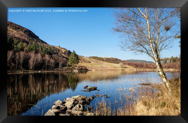 Llyn Bychan Tranquil Lake Snowdonia Framed Print by Pearl Bucknall