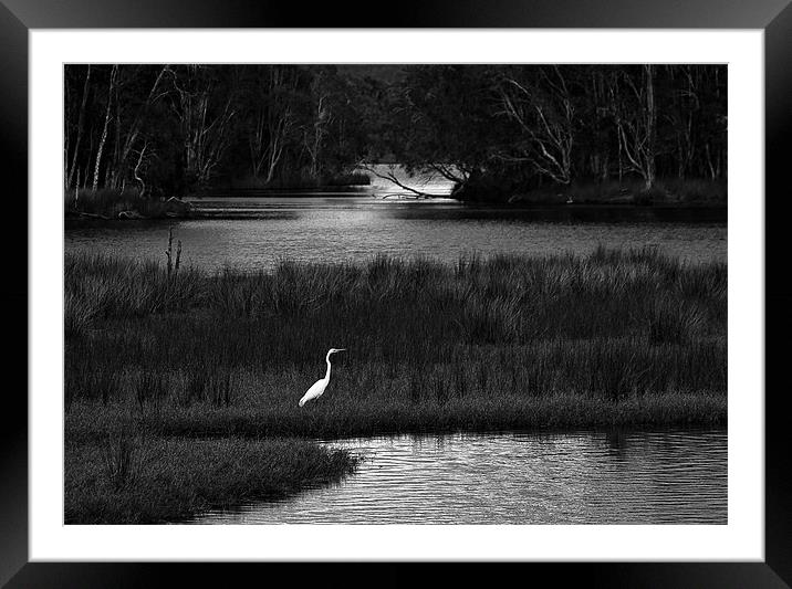 Backwater Framed Mounted Print by Dennis Gay
