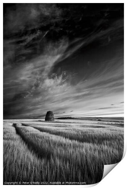 Findlater Doocot Print by Peter O'Reilly