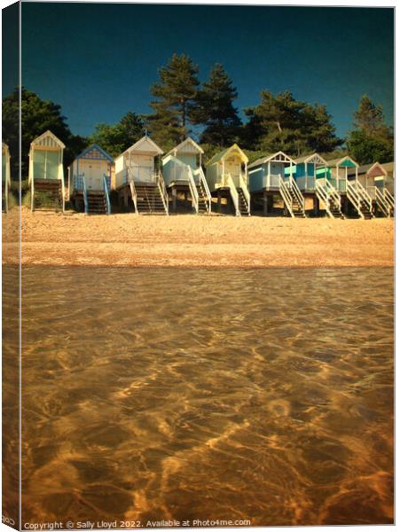 Beach Huts from the water at Wells-next-the-sea Canvas Print by Sally Lloyd