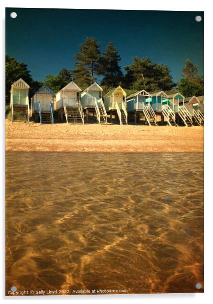 Beach Huts from the water at Wells-next-the-sea Acrylic by Sally Lloyd
