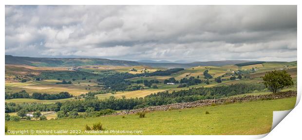 Sunshine and Shadows on Upper Teesdale Panoraama Print by Richard Laidler