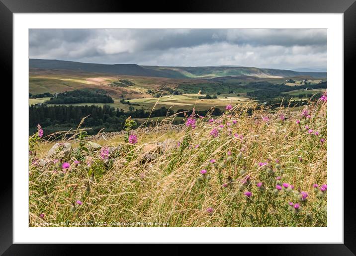 Sunshine and Shadows on Upper Teesdale Framed Mounted Print by Richard Laidler