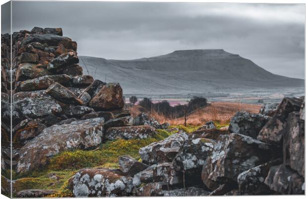 Ingleborough from Ribblehead Canvas Print by Jim Day