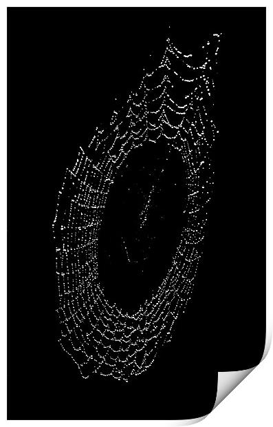 The Web Print by Darren Burroughs