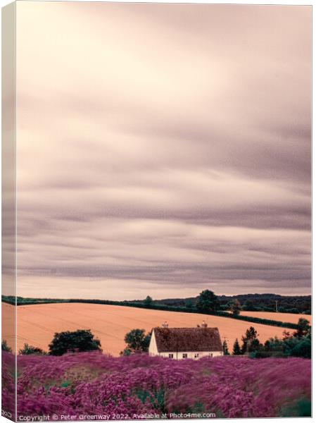 Cotswold Cottage At The Lavender Fields At Snowshill, Worcesters Canvas Print by Peter Greenway
