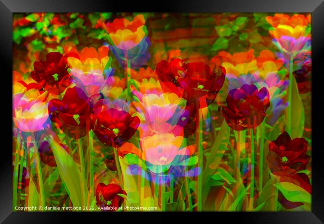 GLITCH  ART on  Tulips in a park Framed Print by daniele mattioda
