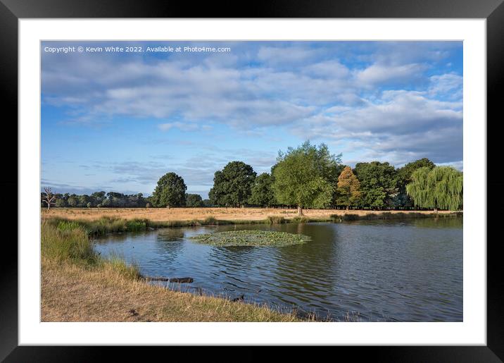 Leg of Mutton pond Bushy Park in July Framed Mounted Print by Kevin White
