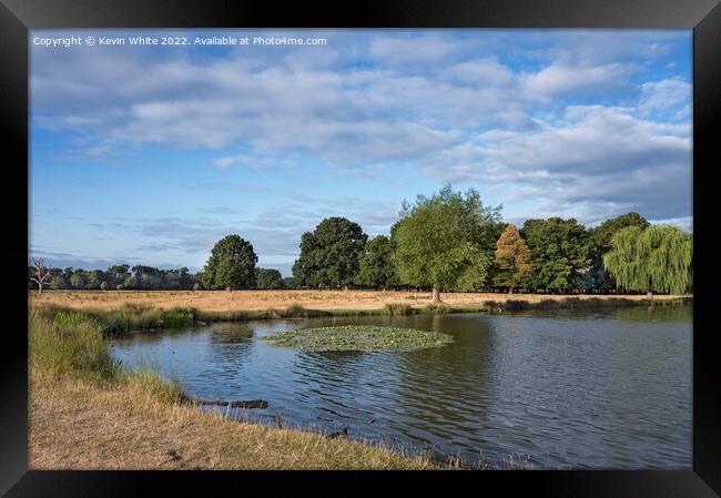 Leg of Mutton pond Bushy Park in July Framed Print by Kevin White