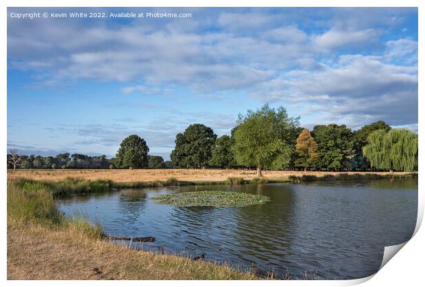Leg of Mutton pond Bushy Park in July Print by Kevin White