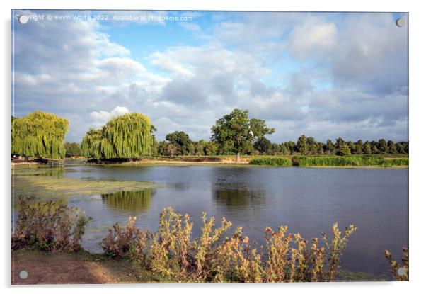 July morning sun at Bushy Park ponds Acrylic by Kevin White