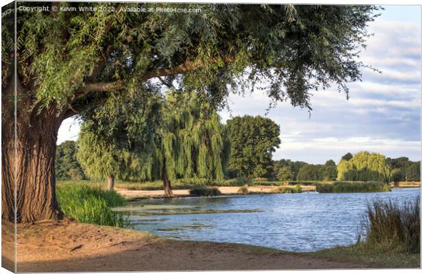 first thing at Bushy Park ponds Canvas Print by Kevin White