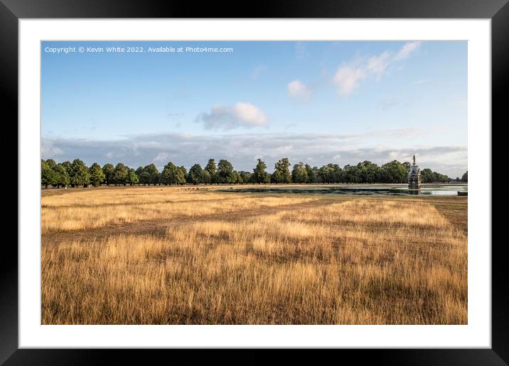 Long dry grass at Diana fountain in Bushy Park Framed Mounted Print by Kevin White