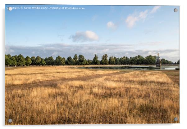 Long dry grass at Diana fountain in Bushy Park Acrylic by Kevin White