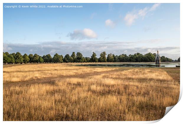 Long dry grass at Diana fountain in Bushy Park Print by Kevin White