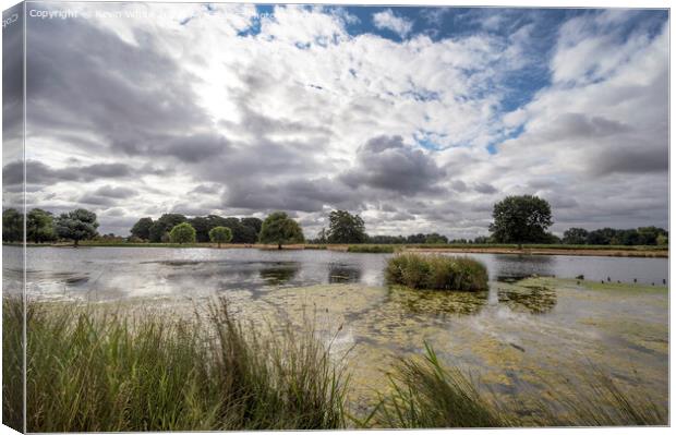 Morning clouds over Heron pond Bushy Park Canvas Print by Kevin White