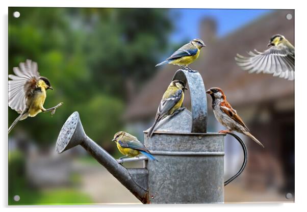Garden Birds on Watering Can Acrylic by Arterra 