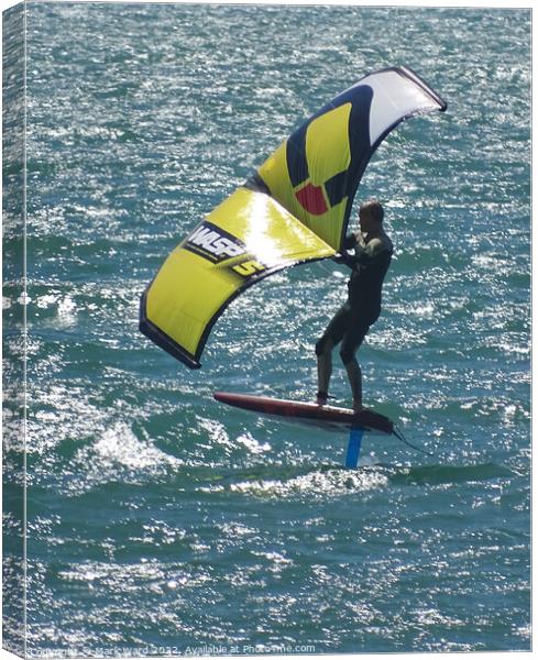 Foiling Around in the Sea.  Canvas Print by Mark Ward