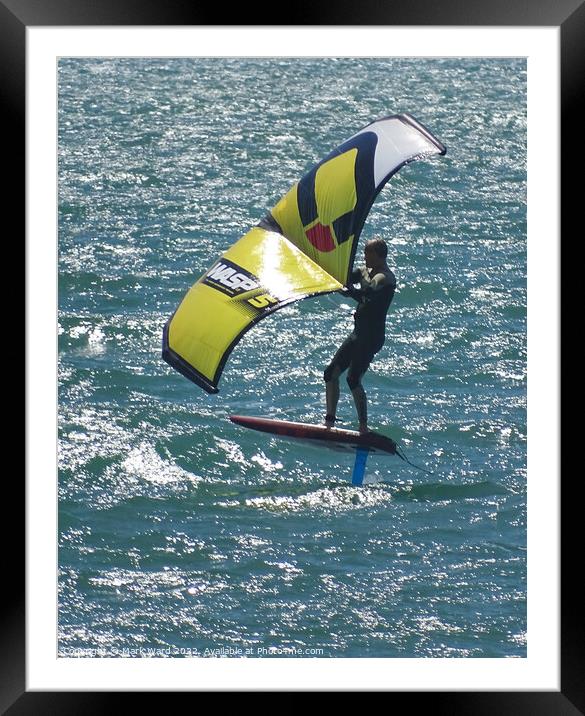 Foiling Around in the Sea.  Framed Mounted Print by Mark Ward