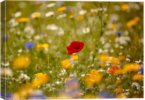 A close up of a flower Canvas Print by Simon Johnson
