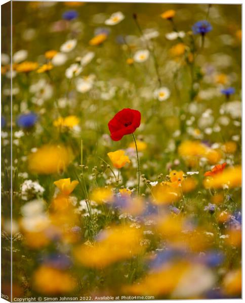 Poppy in the wild flowers Canvas Print by Simon Johnson