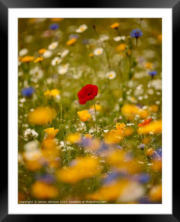 Poppy in the wild flowers Framed Mounted Print by Simon Johnson