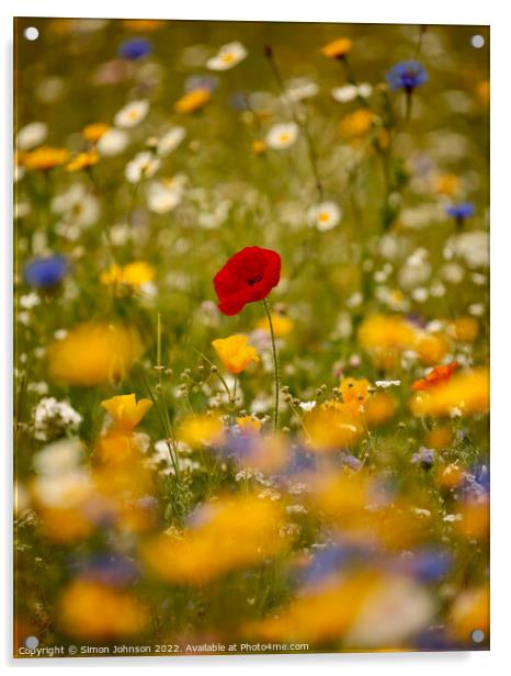 Poppy in the wild flowers Acrylic by Simon Johnson