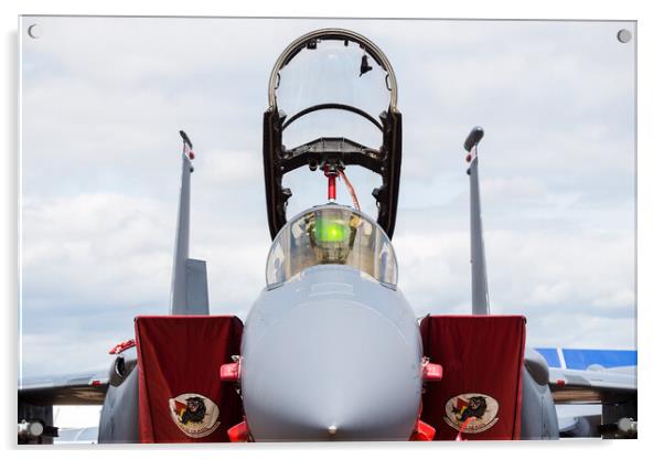 USAFE F-15E Strike Eagle Acrylic by Jason Wells