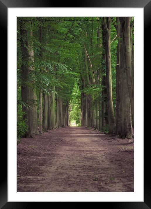 Tree-lined hiking path in Mastenbos in Kapellen, Belgium. Framed Mounted Print by Kristof Bellens