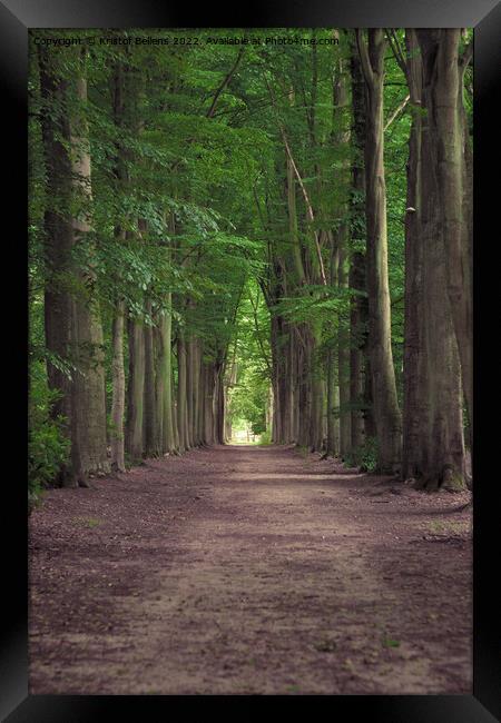 Tree-lined hiking path in Mastenbos in Kapellen, Belgium. Framed Print by Kristof Bellens