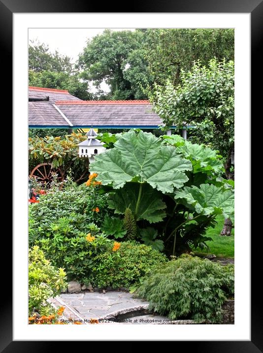Irish Cottage Garden Framed Mounted Print by Stephanie Moore
