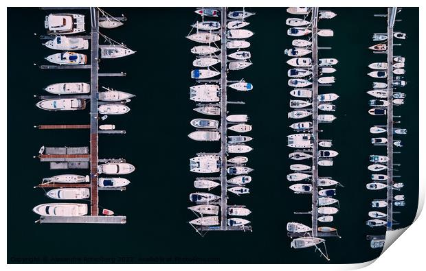 Aerial Top View Yachts and Sailboats Moored in Marina Print by Alexandre Rotenberg