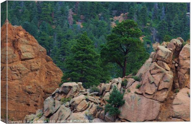 Colorado Rocky Mountains USA with tree's. Canvas Print by Robert Brozek