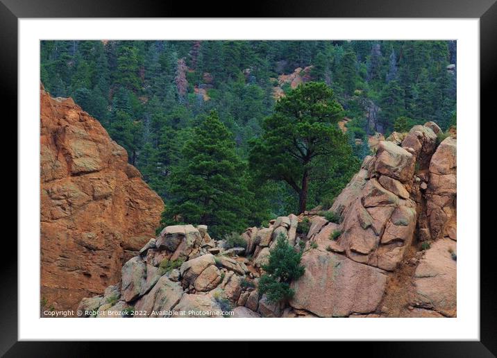 Colorado Rocky Mountains USA with tree's. Framed Mounted Print by Robert Brozek