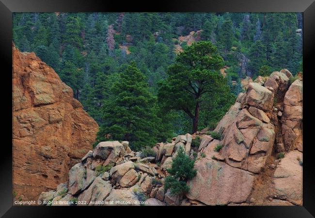 Colorado Rocky Mountains USA with tree's. Framed Print by Robert Brozek