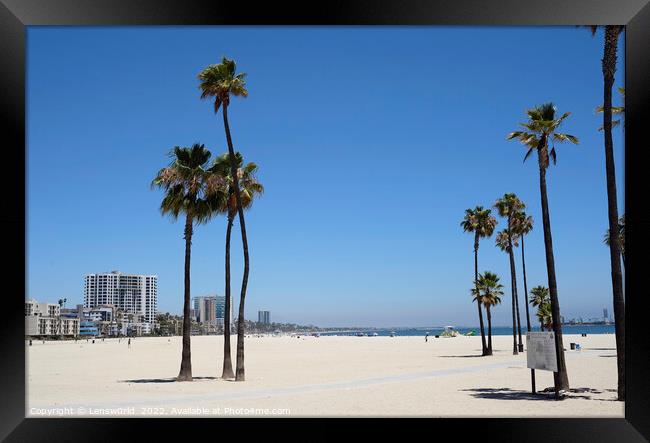 Palm trees at Long Beach, LA, California Framed Print by Lensw0rld 