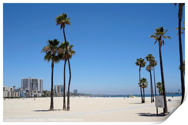 Palm trees at Long Beach, LA, California Print by Lensw0rld 