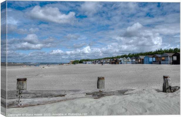 West Wittering Sandy Beach  Canvas Print by Diana Mower