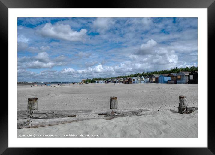 West Wittering Sandy Beach  Framed Mounted Print by Diana Mower