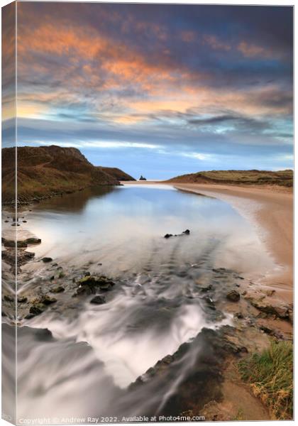 Waterfall view at Broad Haven (South)  Canvas Print by Andrew Ray