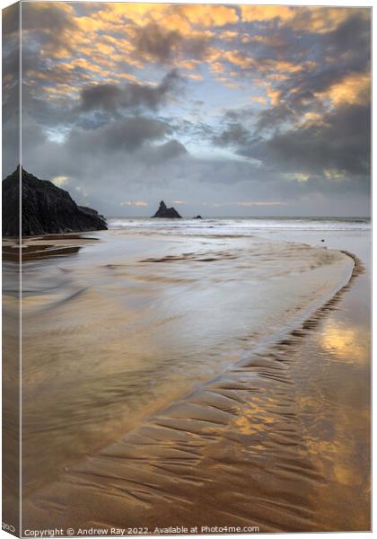Morning reflections (Broad Haven South) Canvas Print by Andrew Ray