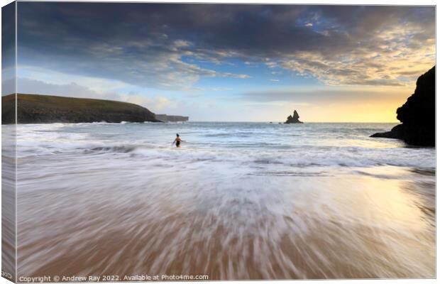Water patterns (Broad Haven South) Canvas Print by Andrew Ray