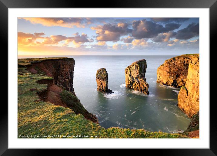 Cliff view (Stack Rocks) Framed Mounted Print by Andrew Ray