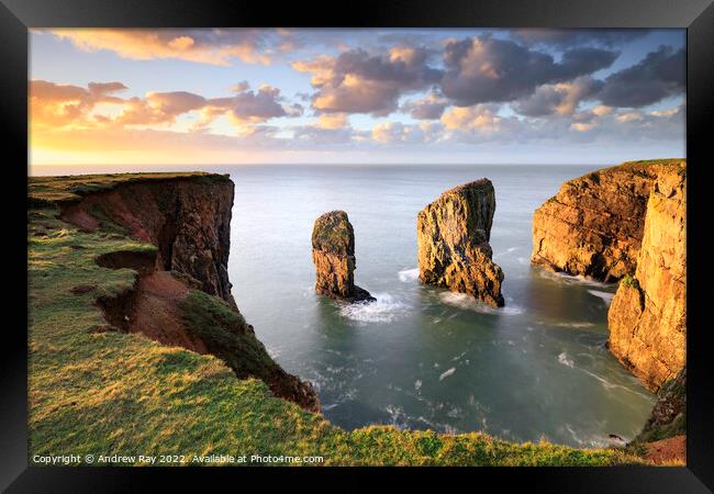 Cliff view (Stack Rocks) Framed Print by Andrew Ray