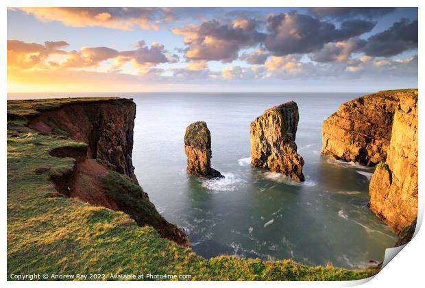 Cliff view (Stack Rocks) Print by Andrew Ray