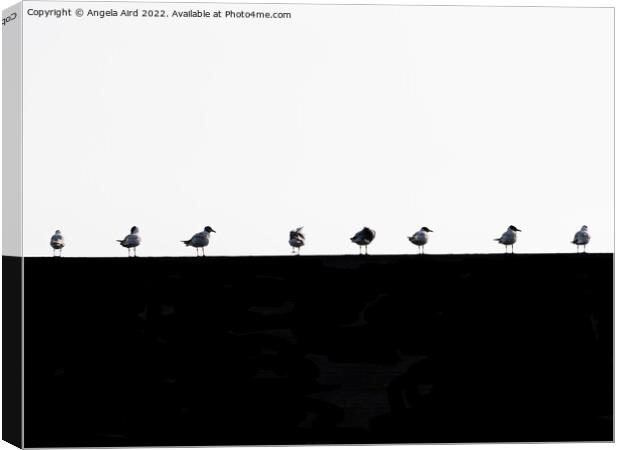Seagulls. Canvas Print by Angela Aird