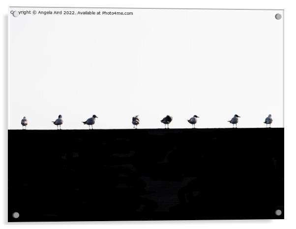 Seagulls. Acrylic by Angela Aird
